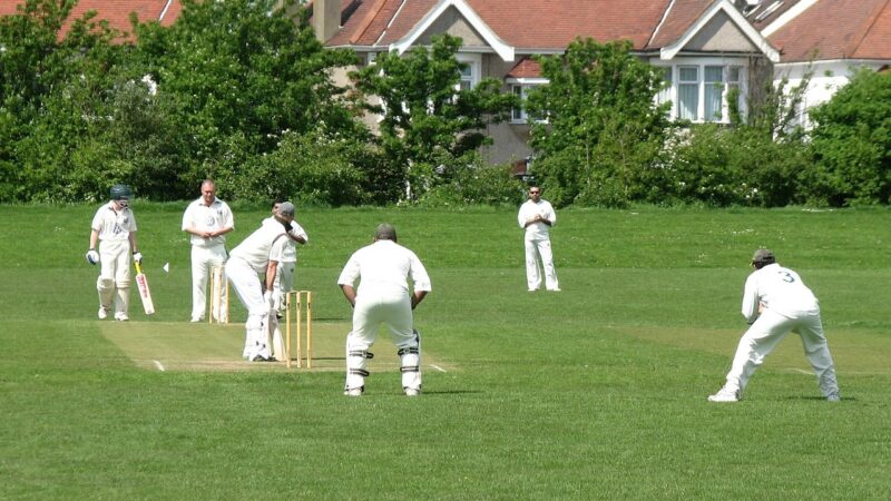 Cricket is also making family to play