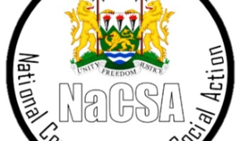 NaCSA Capacitates Local Councils