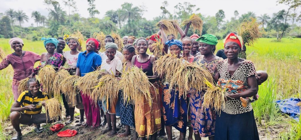 Women Farmers & UN Women Celebrate Successful Rice Farm Harvest In Karene