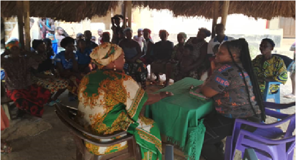 Ladies With Vision Boosts Young Female Farmers With Seedlings & Farming Tools